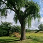 Waltham Abbey Gardens