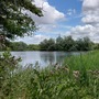Nightingale Wood