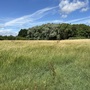 Britannia Meadows