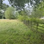 College Meadow