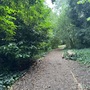 Strawberry Hill House - The Wilderness Woodland Walk