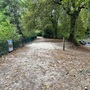 Crystal Palace Park - Lower Lake