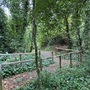Crystal Palace Park - Secret Garden