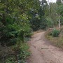 Crystal Palace Park - Dinosaur Island