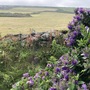 Captain's House Pendeen