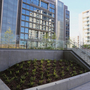 Wembley Urban Gardens