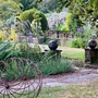 Surrey Georgian House and Gardens - Exterior