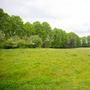 Aveling Fields