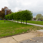 Fellowship Square