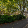 Merrick Square