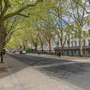Senate House - Courtyard