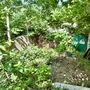 Large Empty Lot