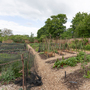 Chiswick House - Kitchen Garden