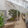 Chiswick House - Conservatory