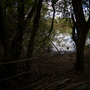 Fairlop Waters Country Park - Lakes