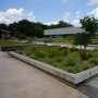 Norcross Library Box Garden