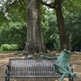 Thrasher Park