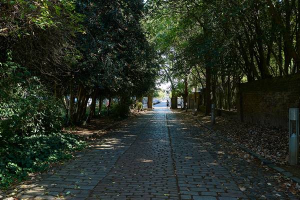 Rosemary Gardens & Football Pitch and Tennis Courts