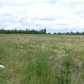 Coldblow Field