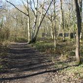 Jubilee Country Park