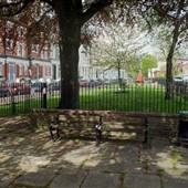 Primrose Gardens