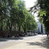 Malet Street
