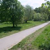 South Norwood Lake Trim Trail