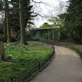 Peckham Rye Park and Common