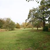 Hadley Green
