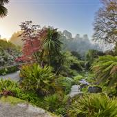 Trebah Gardens