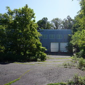 Plant Takeover at Abandoned Plant  - Bell Works