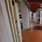 Subterranean basement network