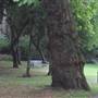 Archbishop's Park