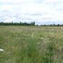 Coldblow Field