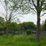 Foots Cray Meadows
