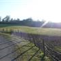 Scadbury Park Nature Reserve