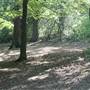 Croham Hurst