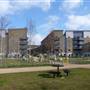 Market Estate
