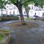 Percy Circus
