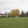 Beverley Park