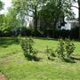Thornhill Road Gardens