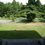 St Pancras and Islington Cemetery