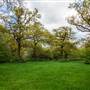 Long Lane Wood