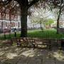 Primrose Gardens