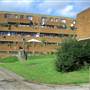 The Sandlings Estate