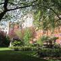 Queen Square
