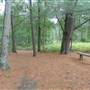 Long Island State Pine Barrens Preserve