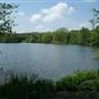 South Norwood Lake and Grounds