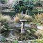 The Rookery at Streatham Common