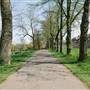 Ruskin Park